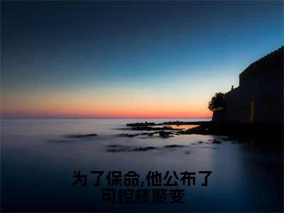 （热推新书）《为了保命,他公布了可控核聚变》叶城高卫明无弹窗阅读_为了保命,他公布了可控核聚变最新章节列表_笔趣阁