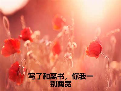 写了和离书，你我一别两宽小说（穆宁季言森）全文免费读无弹窗大结局_（穆宁季言森小说免费写了和离书，你我一别两宽阅读）