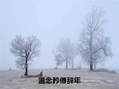 温念矜傅辞年（傅辞年温念矜）全文免费阅读无弹窗大结局_傅辞年温念矜最新章节列表