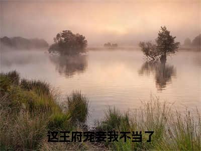 李睿安沐夕最新完结免费阅读-这王府宠妾我不当了悬疑小说在线阅读