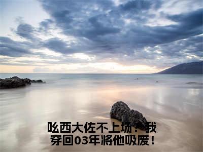 夏普全文免费在线阅读_（吆西大佐不上场？我穿回03年将他吸废！全文免费阅读无弹窗大结局）