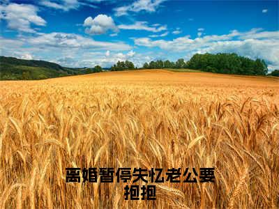 离婚暂停失忆老公要抱抱小说全文（季时彦苏妗）全文免费阅读无弹窗大结局_离婚暂停失忆老公要抱抱全文免费阅读无弹窗最新章节列表