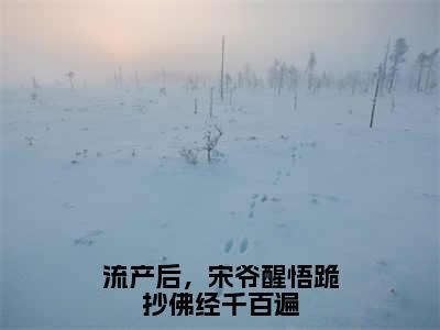 流产后，宋爷醒悟跪抄佛经千百遍小说全文免费阅读_（宋慕暄沈吟）流产后，宋爷醒悟跪抄佛经千百遍完结版在线阅读最新章节列表笔趣阁