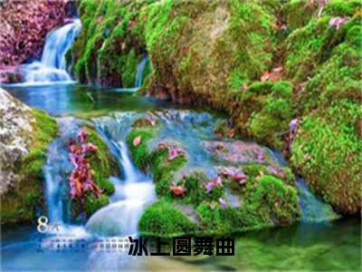 虞晞陆西归（冰上圆舞曲）完整版小说阅读_冰上圆舞曲全文免费阅读笔趣阁（虞晞陆西归）