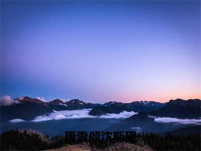 唐雪倾沈斯砚（唐雪倾沈斯砚）免费阅读-小说（唐雪倾沈斯砚）唐雪倾沈斯砚全文阅读