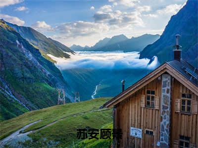 苏安顾景（顾景苏安）全文免费阅读无弹窗大结局_（苏安顾景全文免费阅读无弹窗）最新章节列表