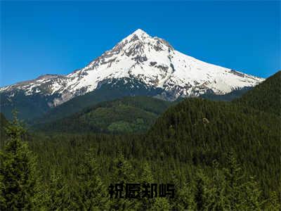 祝愿郑屿（祝愿郑屿）全文免费阅读无弹窗大结局_祝愿郑屿最新章节列表