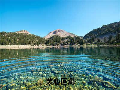 芙心叵测（江芙沈随安）精彩热门小说-芙心叵测全章节免费阅读