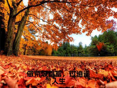 【全文】《时晚君》小说txt在线阅读_（时晚君全章节）-时晚君_做京城首富，过逍遥人生在线阅读