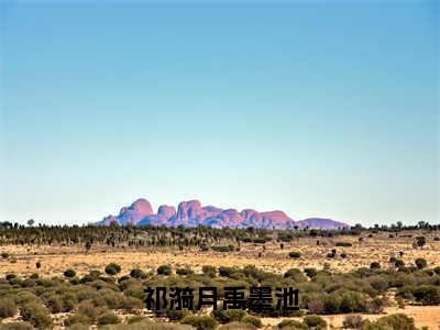 （热推新书）《祁漪月禹墨池》祁漪月禹墨池-热推祁漪月禹墨池无弹窗阅读祁漪月禹墨池在线阅读