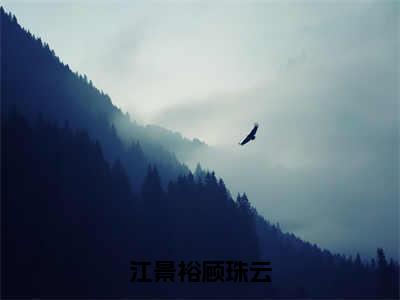 顾珠云江景裕（江景裕顾珠云）全文免费阅读无弹窗大结局_顾珠云江景裕免费试读阅读全文无弹窗