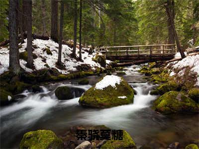 莫糖秦骁（秦骁莫糖）最新章节在线阅读抖音新书热荐秦骁莫糖