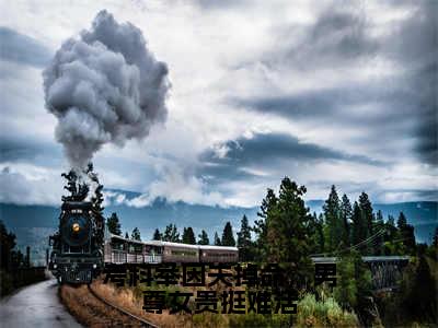 考科举因夫掉命，男尊女贵挺难活（祝旋覆任家兄弟）全文免费在线阅读_考科举因夫掉命，男尊女贵挺难活全文免费阅读无弹窗大结局