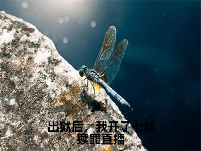 许芷听为许芷听的小说叫什么-最新小说出狱后，我开了七场赎罪直播全文阅读