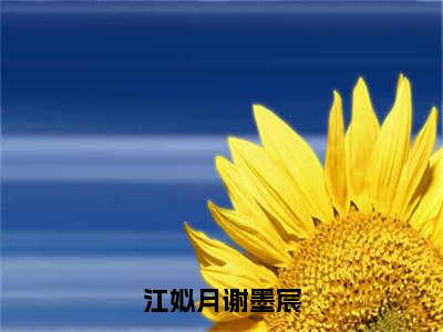 江姒月谢墨宸（谢墨宸江姒月全章节完整版）免费阅读_江姒月谢墨宸（谢墨宸江姒月）最新章节列表笔趣阁