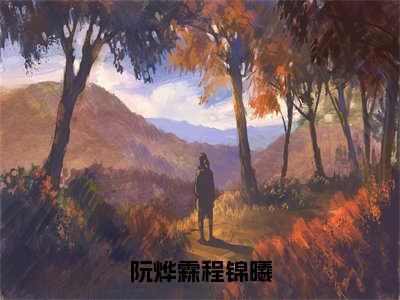 阮烨霖程锦曦（程锦曦阮烨霖）小说全文免费阅读完整版-阮烨霖程锦曦免费在线阅读大结局（程锦曦阮烨霖）