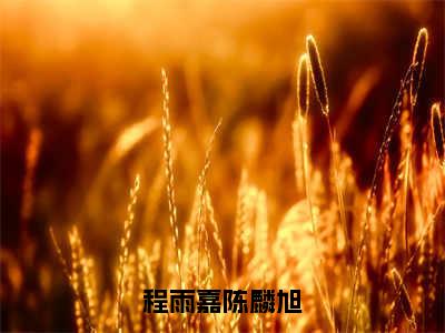 程雨嘉陈麟旭全文免费阅读无弹窗大结局-程雨嘉陈麟旭最新章节列表免费阅读