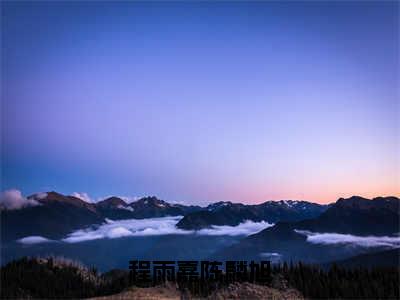 程雨嘉陈麟旭在线阅读（程雨嘉陈麟旭小说）全文免费阅读无弹窗大结局_程雨嘉陈麟旭免费最新章节列表