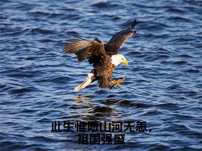 沈慕乔陆淮安全文免费阅读_（此生惟愿山河无恙，祖国强盛免费阅读无弹窗）沈慕乔陆淮安最新章节列表笔趣阁