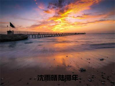 主角是陆掷年沈雨晴的小说叫什么名字沈雨晴陆掷年-完结版小说陆掷年沈雨晴