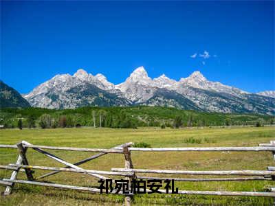 祁宛柏安礼（祁宛柏安礼）小说免费阅读_祁宛柏安礼精选小说全文阅读（祁宛柏安礼）