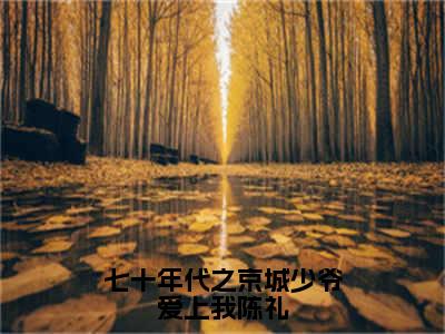 七十年代之京城少爷爱上我陈礼小说全文免费阅读（乔元陈礼）全文免费阅读无弹窗大结局_七十年代之京城少爷爱上我陈礼最新章节列表