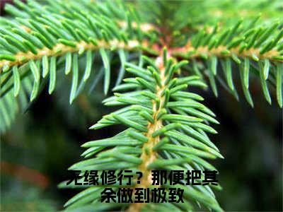 林弃免费小说（无缘修行？那便把其余做到极致）全文无弹窗阅读林弃大结局免费阅读无弹窗