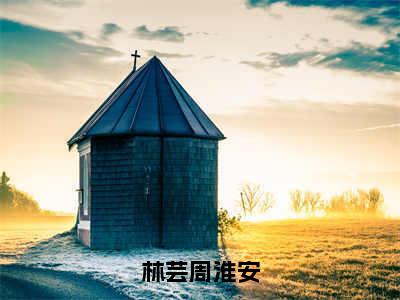 林芸周淮安小说全文免费阅读（林芸周淮安）全文免费阅读无弹窗_林芸周淮安小说全文免费阅读