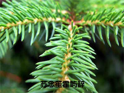 苏念笙霍屿辞（苏念笙霍屿辞）全文免费阅读无弹窗大结局_苏念笙霍屿辞苏念笙霍屿辞_笔趣阁