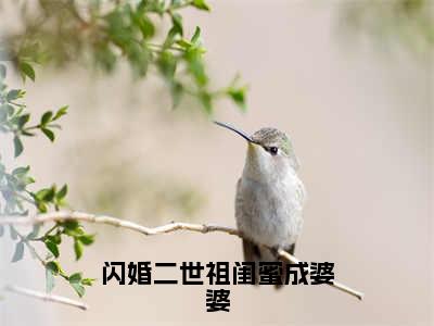 叶昔元昱免费版最新更新阅读-闪婚二世祖闺蜜成婆婆小说全文在线阅读