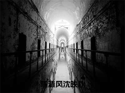 陈清风沈映秋全文免费阅读无弹窗大结局（沈映秋陈清风）_陈清风沈映秋最新章节列表_笔趣阁（沈映秋陈清风）