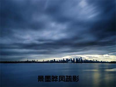 景墨晔凤疏影（景墨晔凤疏影）全文免费阅读无弹窗大结局_（景墨晔凤疏影）景墨晔凤疏影最新章节列表笔趣阁