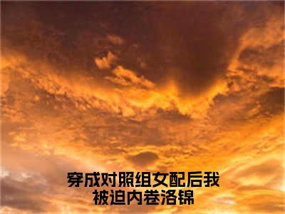 穿成对照组女配后我被迫内卷洛锦（洛锦）全文免费阅读无弹窗大结局_（穿成对照组女配后我被迫内卷洛锦免费阅读全文大结局）最新章节列表