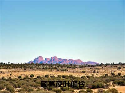 顾寒夜叶倾伶（叶倾伶顾寒夜）全文小说在线阅读-顾寒夜叶倾伶全章节最新阅读