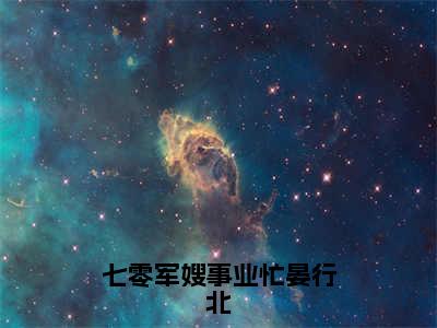 七零军嫂事业忙晏行北美文欣赏完整版，姜念晏行北精彩章节在线阅读