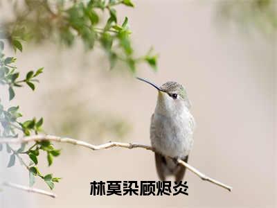 （热推新书）林莫染顾烬炎完整版免费小说无弹窗阅读_林莫染顾烬炎最新章节列表_笔趣阁（林莫染顾烬炎）