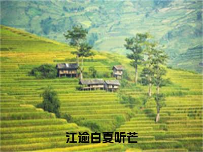 江逾白夏听芒（夏听芒江逾白）免费阅读完整版-（江逾白夏听芒小说）夏听芒江逾白全文大结局已完结