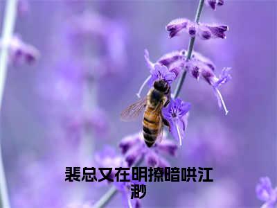 裴总又在明撩暗哄江渺小说（江渺）全文免费阅读无弹窗_裴总又在明撩暗哄江渺小说最新章节免费阅读_笔趣阁（江渺）