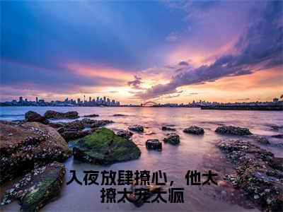 叶雯雯入夜放肆撩心，他太撩太宠太疯小说全文免费阅读_叶雯雯（入夜放肆撩心，他太撩太宠太疯）最新章节列表笔趣阁