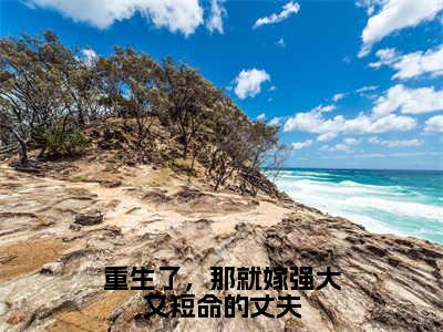 陆珩沈岁安（重生了，那就嫁强大又短命的丈夫）全文免费阅读无弹窗大结局_陆珩沈岁安最新章节列表_笔趣阁（重生了，那就嫁强大又短命的丈夫）