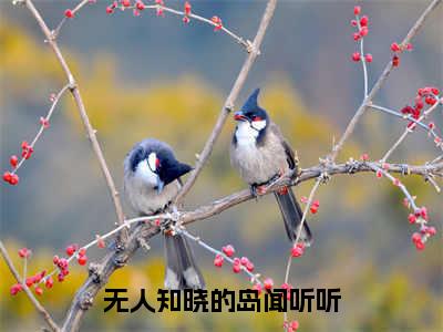 闻听听陈知衍小说在线阅读（无人知晓的岛闻听听）全文免费阅读无弹窗大结局