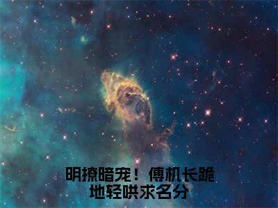 明撩暗宠！傅机长跪地轻哄求名分（傅时墨许知俏）全文免费阅读无弹窗大结局_明撩暗宠！傅机长跪地轻哄求名分小说最新章节列表_笔趣阁