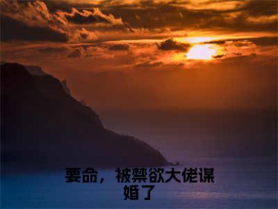 要命，被禁欲大佬谋婚了全文（宋夏陆景卿）全文免费阅读无弹窗大结局_宋夏陆景卿免费最新章节列表_笔趣阁（要命，被禁欲大佬谋婚了）