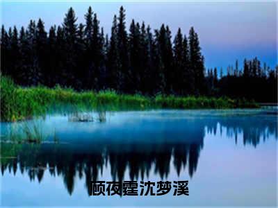 顾夜霆沈梦溪（沈梦溪顾夜霆）全文免费阅读无弹窗大结局_（沈梦溪顾夜霆阅读无弹窗）顾夜霆沈梦溪小说_笔趣阁