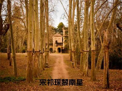 宋祁琛黎南星（黎南星宋祁琛）全文免费阅读-宋祁琛黎南星（黎南星宋祁琛）最新章节小说阅读