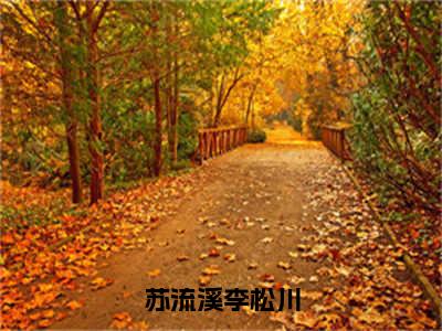 李松川苏流溪最新章节（苏流溪李松川）全文免费阅读无弹窗大结局_苏流溪李松川小说全文免费阅读正版无弹窗