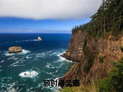 顾时浔孟雨小说顾时浔孟雨无弹窗免费阅读-最新小说顾时浔孟雨（顾时浔孟雨）全文阅读