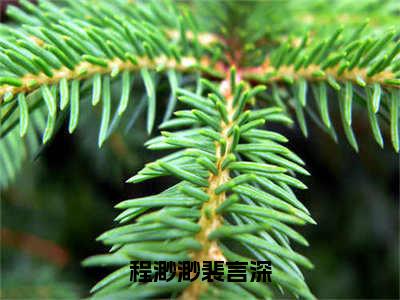 程渺渺裴言深（裴言深程渺渺）全文免费阅读无弹窗大结局_裴言深程渺渺全文在线阅读