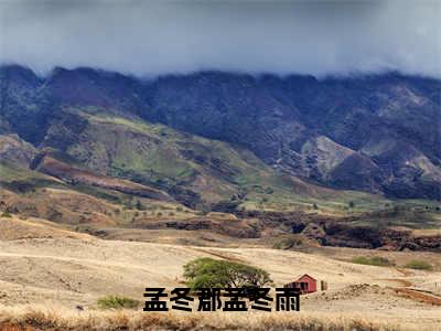 孟冬郡孟冬雨免费小说孟冬雨孟冬郡全文完整版阅读