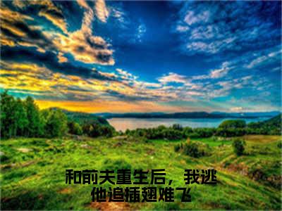 （夏南清）和前夫重生后，我逃他追插翅难飞无弹窗免费阅读夏南清大结局无删阅读_笔趣阁